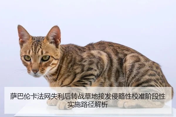 萨巴伦卡法网失利后转战草地接发侵略性校准阶段性实施路径解析